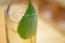 [On the Radar]: The New Stuff at the Fumin-Changle-Xinle Nexus