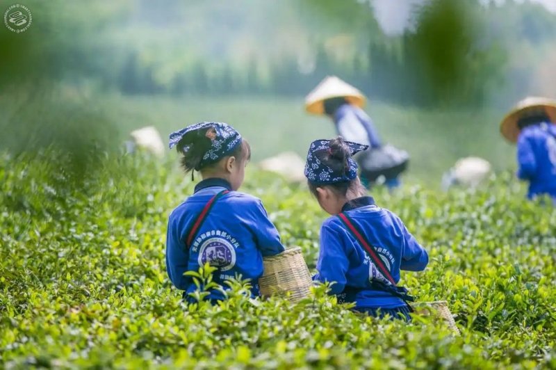 Xiehe Kindergarten (Wuxi） on SmartShanghai