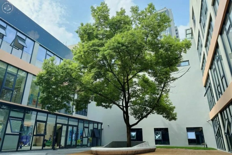 Fortune Kindergarten (Jing'an Campus) on SmartShanghai