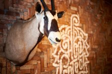 [On The Radar]: The Hop Project, Rakia, Harley's Underground