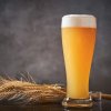 A Glass of Specialty Craft Beer on SmartShanghai
