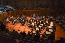 [The Collection]: Where to Watch Classical Music in Shanghai